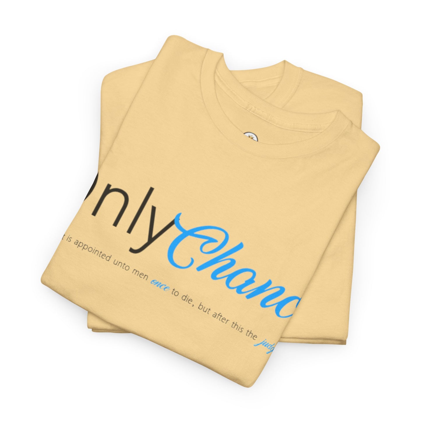Only Chance (Hebrew 9:27) Shirt