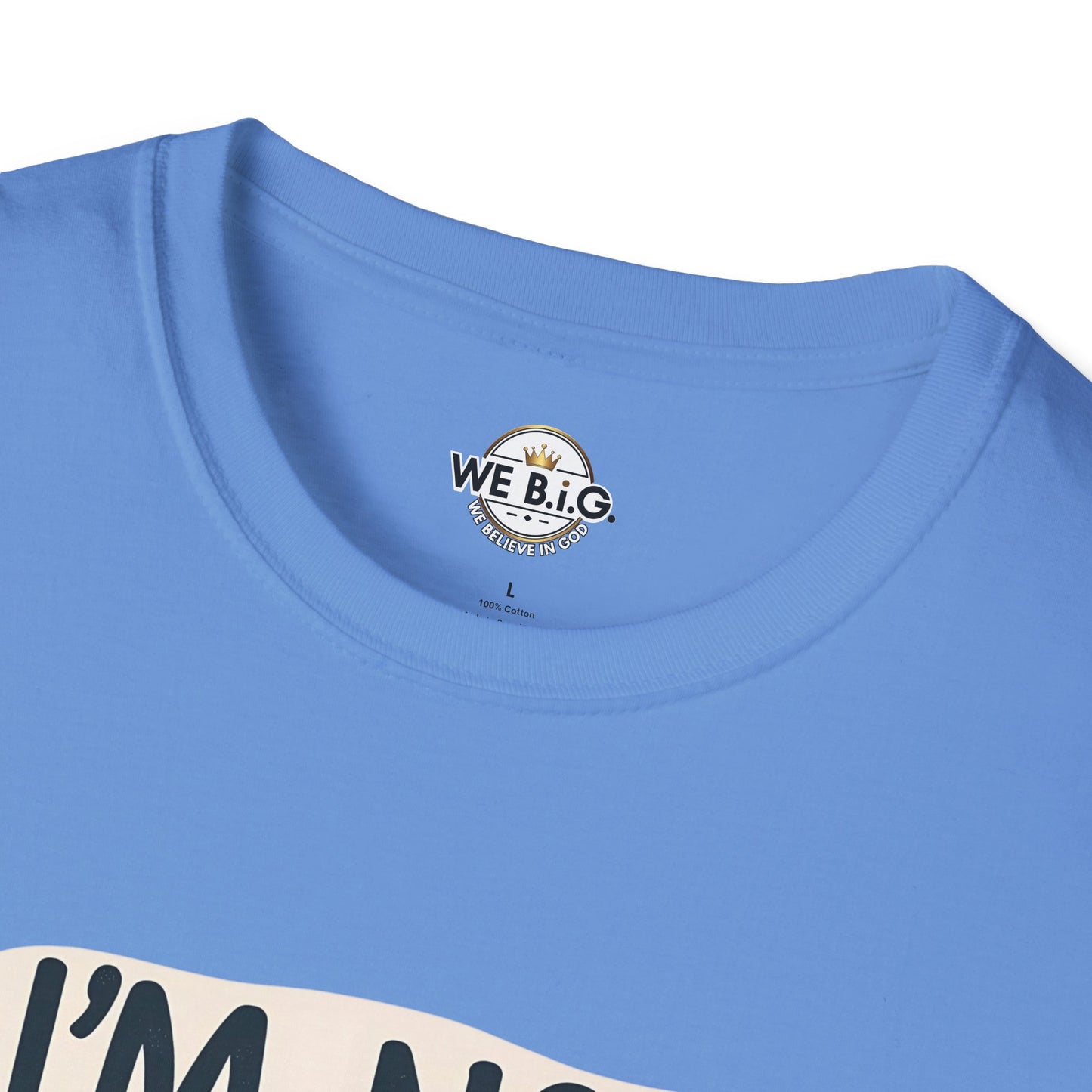 Unisex Sarcastic Tee, Funny Graphic T-Shirt, Perfect Gift for Friends, Casual Wear, Humor Apparel