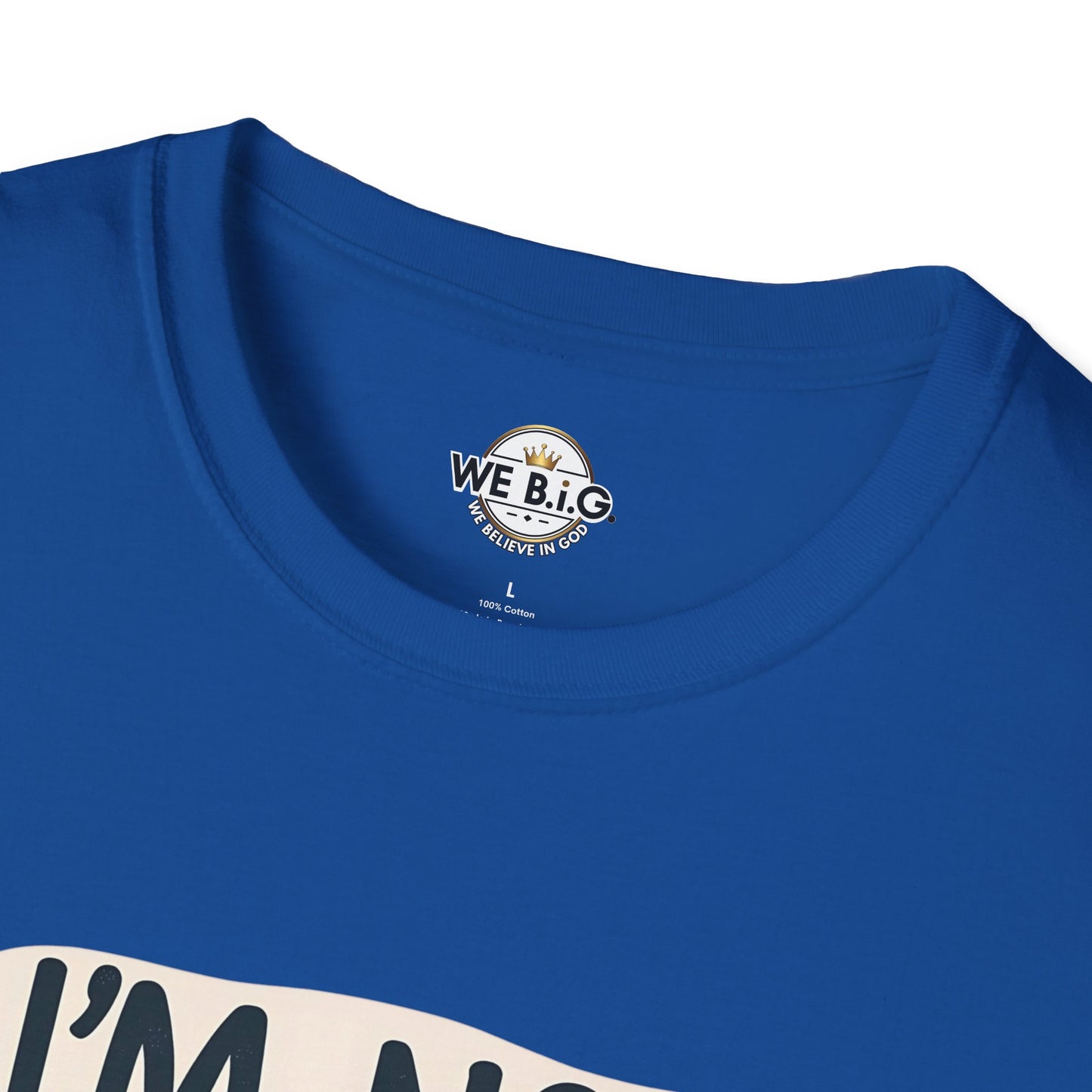 Unisex Sarcastic Tee, Funny Graphic T-Shirt, Perfect Gift for Friends, Casual Wear, Humor Apparel
