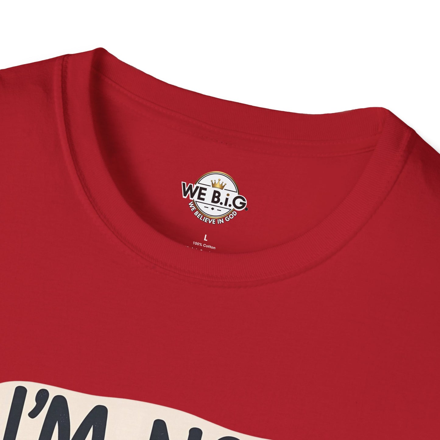 Unisex Sarcastic Tee, Funny Graphic T-Shirt, Perfect Gift for Friends, Casual Wear, Humor Apparel