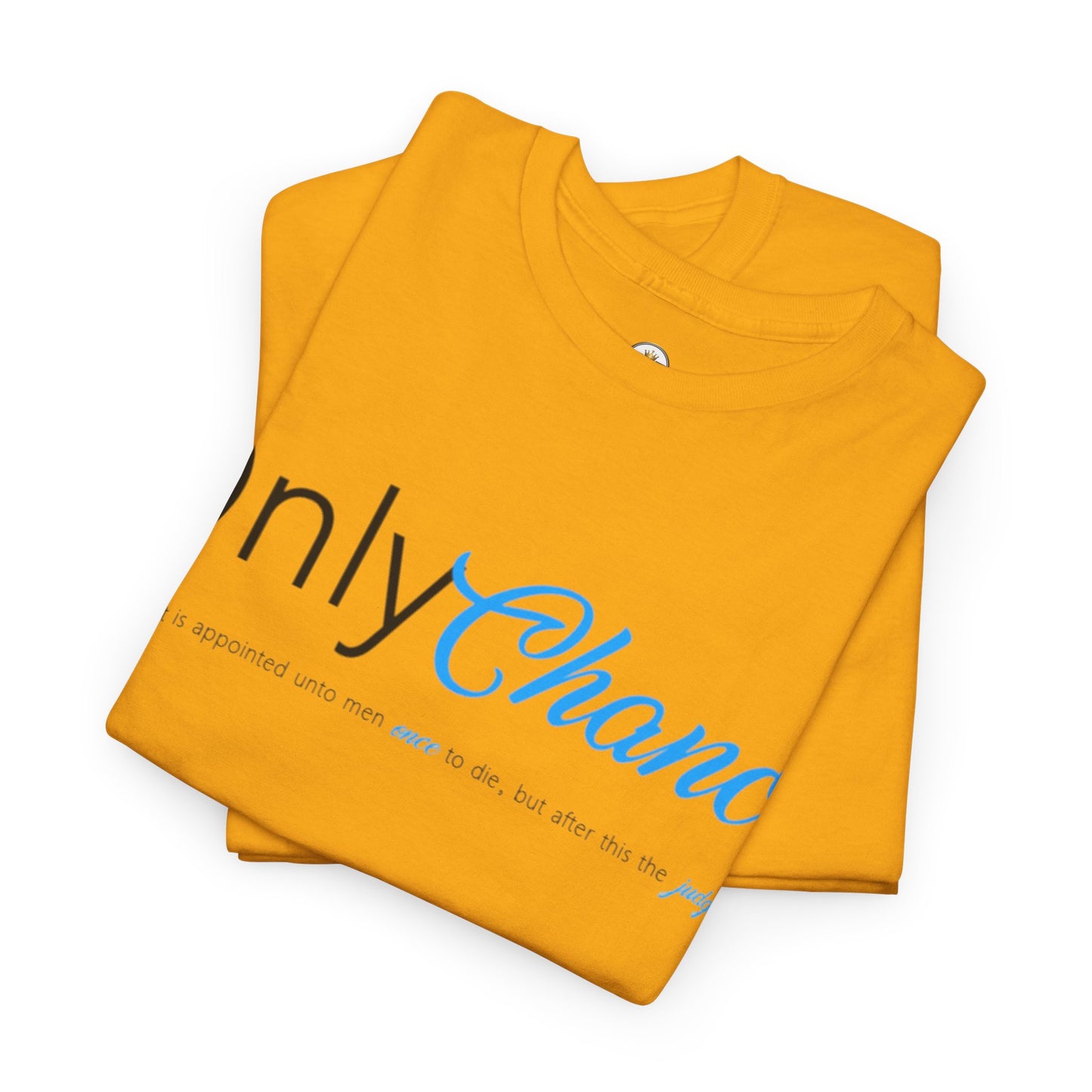 Only Chance (Hebrew 9:27) Shirt