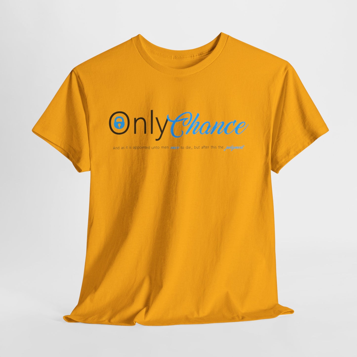 Only Chance (Hebrew 9:27) Shirt