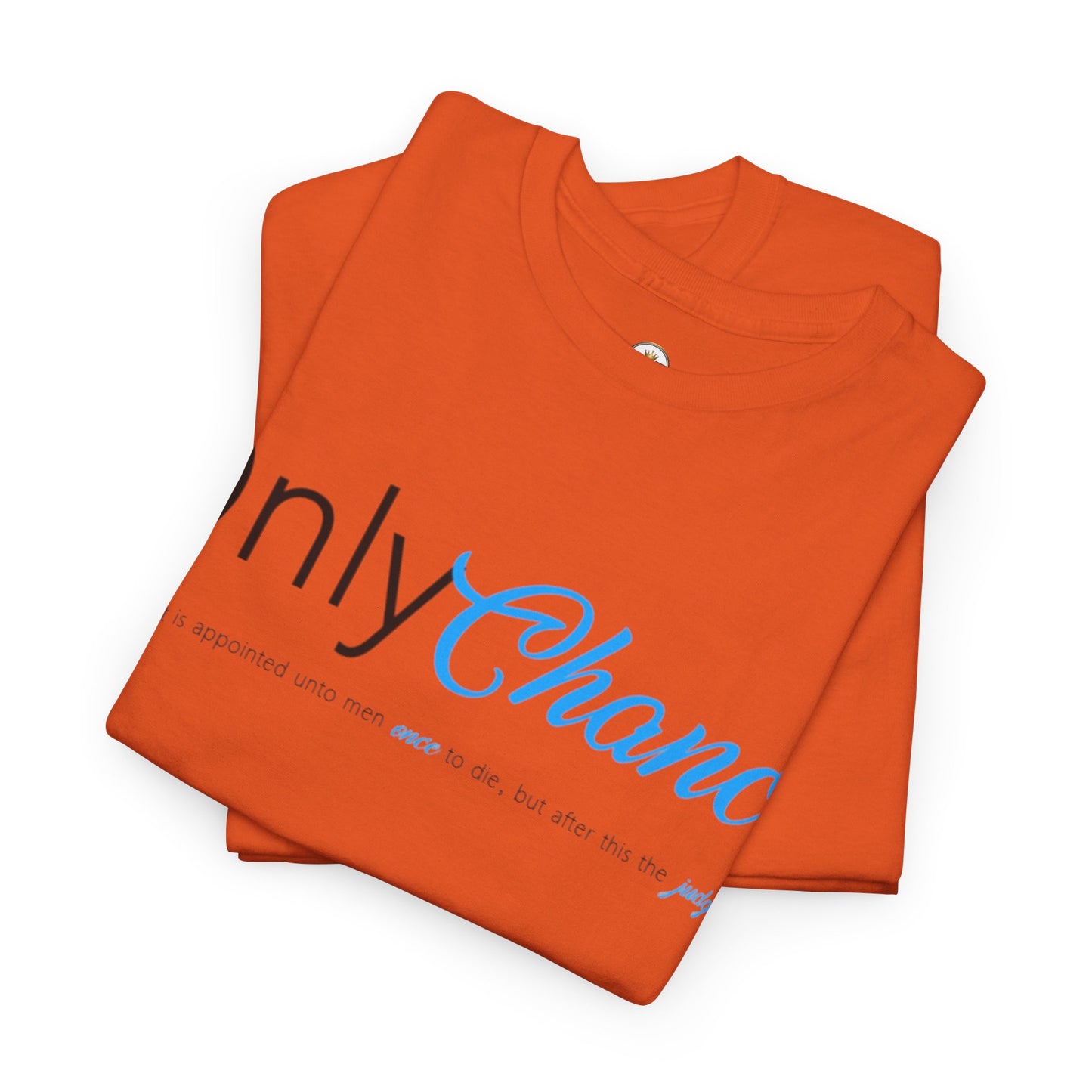 Only Chance (Hebrew 9:27) Shirt
